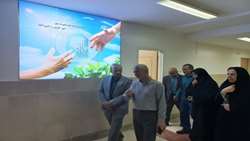 مدیرشبکه بهداشت و درمان تویسرکان از مرکز جامع توانبخشی سفیران بهشت بازدید کرد